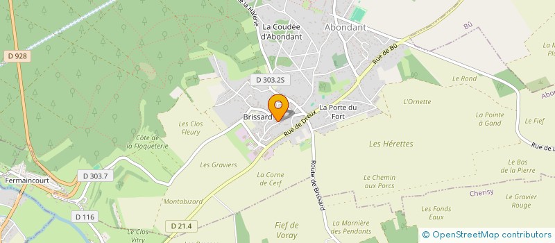 localisation de l'entreprise JDS INVEST à ABONDANT