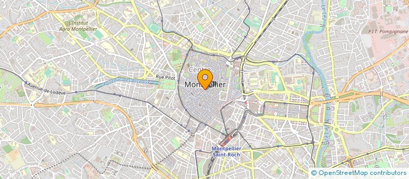 localisation de l'entreprise JEAN FLEURISTE à MONTPELLIER