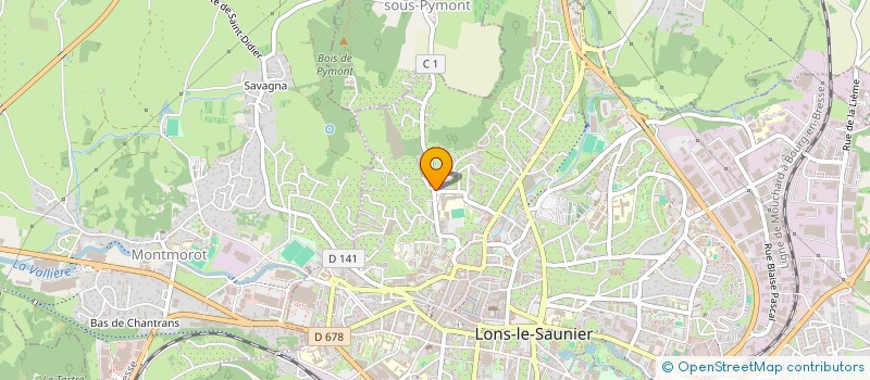 localisation de l'entreprise JEAN MARIE MICHELLE  LONS-LE-SAUNIER