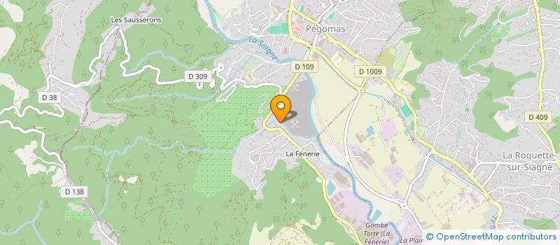 localisation de l'entreprise JEFF TRANSPORT  PEGOMAS