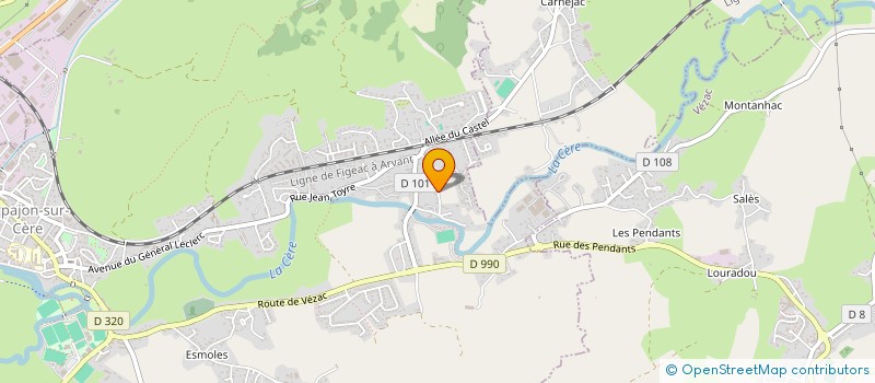 localisation de l'entreprise JELIARTH INVEST à ARPAJON-SUR-CERE