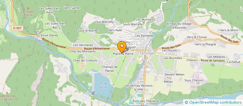 localisation de l'entreprise JEMS&FLO 3D SOLUTIONS  TANINGES