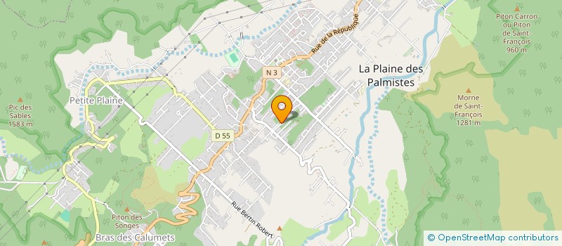 localisation de l'entreprise JERLYNA  LA PLAINE-DES-PALMISTES