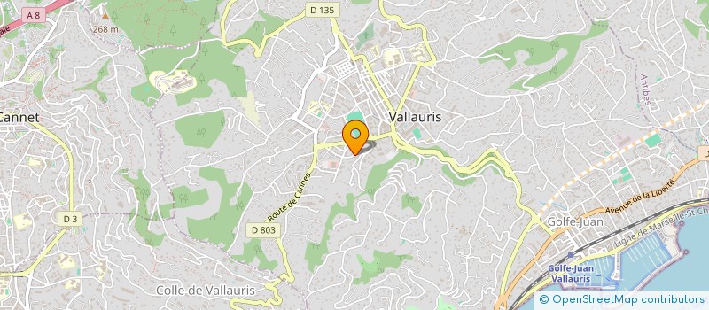 localisation de l'entreprise JESSYON à VALLAURIS