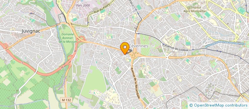 localisation de l'entreprise JETHRO MEDIA à MONTPELLIER
