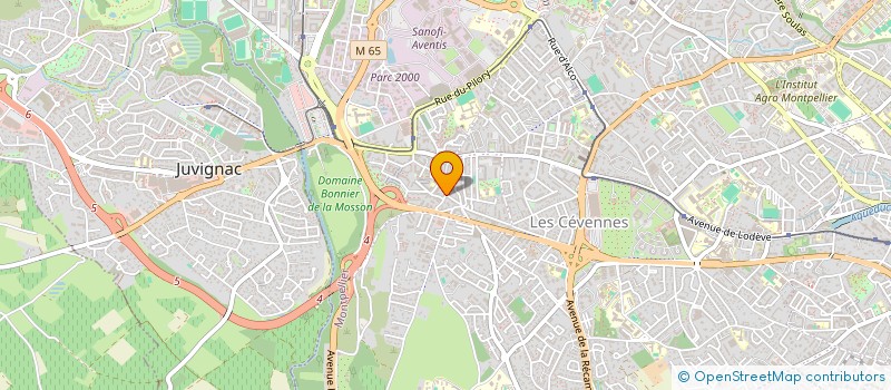 localisation de l'entreprise JEU D'OC à MONTPELLIER