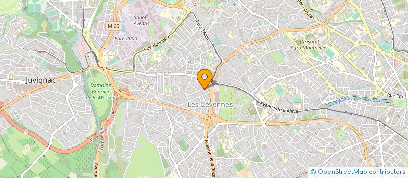 localisation de l'entreprise JEU DE PAUME à MONTPELLIER