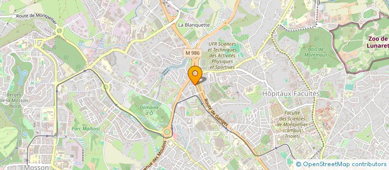 localisation de l'entreprise JEUDI NOIR à MONTPELLIER