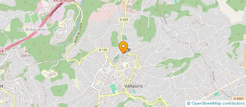 localisation de l'entreprise JEUNESSE SANS FRONTIERE à VALLAURIS