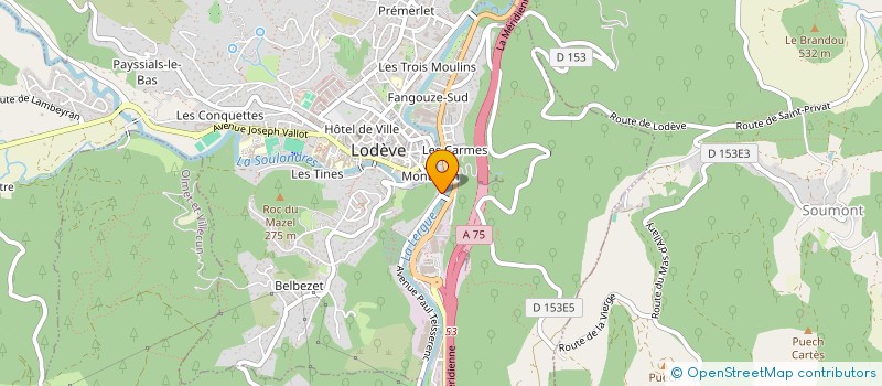 localisation de l'entreprise JEUX D'ENFANTS à LODEVE