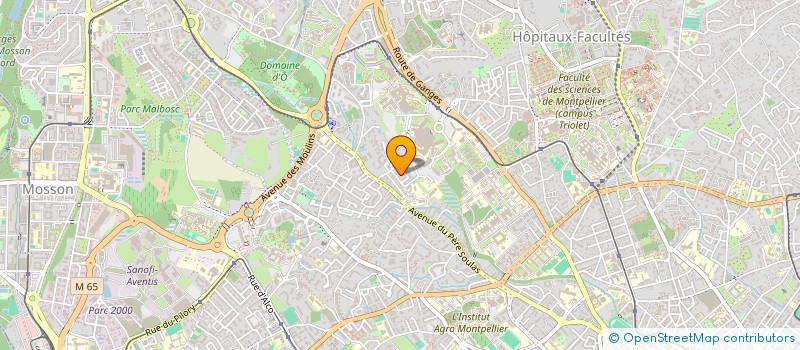 localisation de l'entreprise JEYAPE à MONTPELLIER