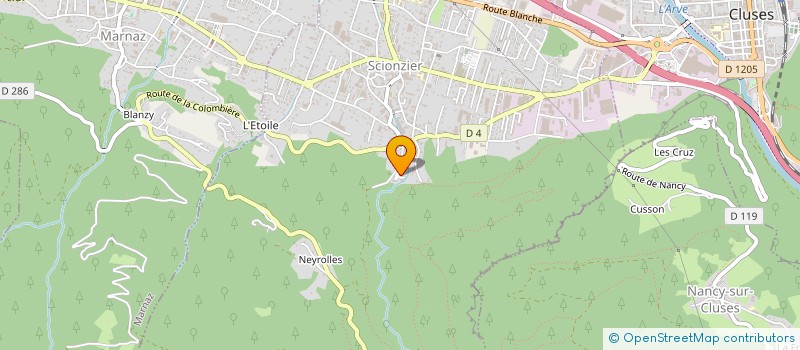localisation de l'entreprise JFP GESTION à SCIONZIER