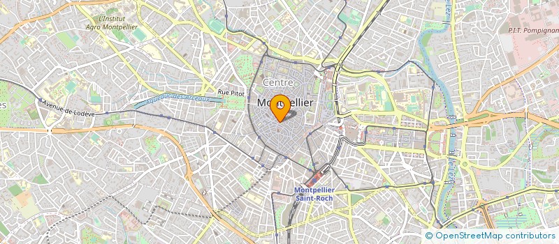 localisation de l'entreprise JINJA MANGA à MONTPELLIER