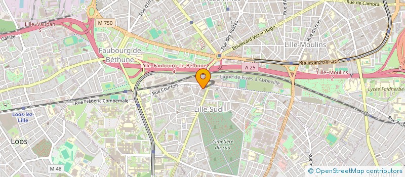 localisation de l'entreprise JJ OPTIC à LILLE