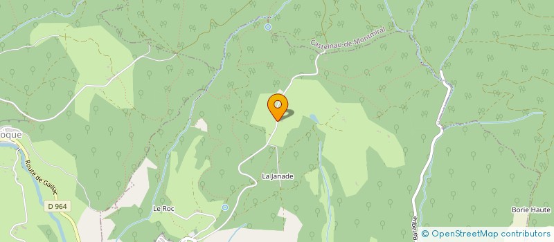 localisation de l'entreprise JJ'S BAR & BISTRO  CASTELNAU-DE-MONTMIRAL