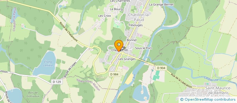 localisation de l'entreprise JLM IMMO à CHATILLON-LA-PALUD