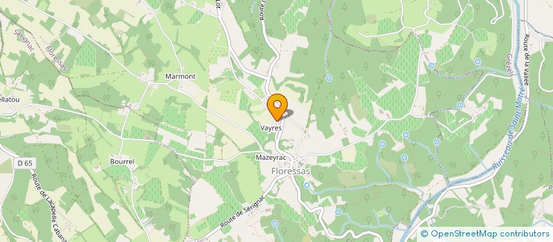 localisation de l'entreprise JNS AVENIR  FLORESSAS