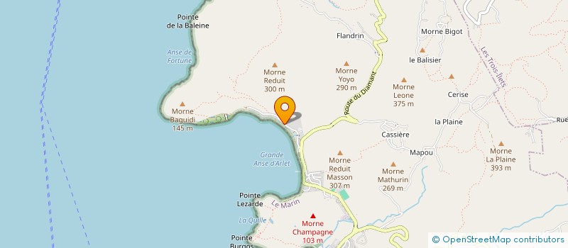 localisation de l'entreprise JO'Z LE GOURMET à ANSES D'ARLET