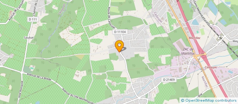 localisation de l'entreprise JOEL DUCOS HOLDING  MARTILLAC