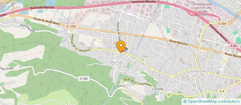 localisation de l'entreprise JOG GESTION à MARNAZ