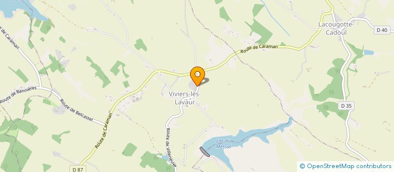 localisation de l'entreprise JOJO PISCINE  VIVIERS-LES-LAVAUR
