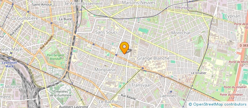 localisation de l'entreprise JOKA  LYON