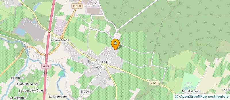 localisation de l'entreprise JOLIVET DIDIER ELECTRICITE  BEAULIEU-SUR-LAYON