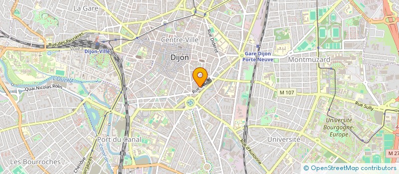 localisation de l'entreprise JONQUILLE  DIJON