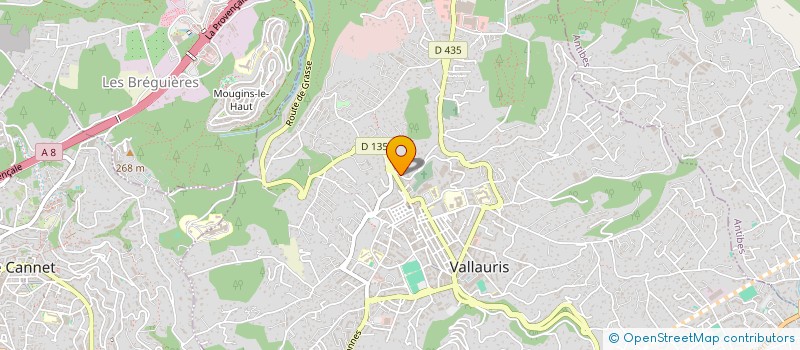 localisation de l'entreprise JOUDOU CONSULTING à VALLAURIS