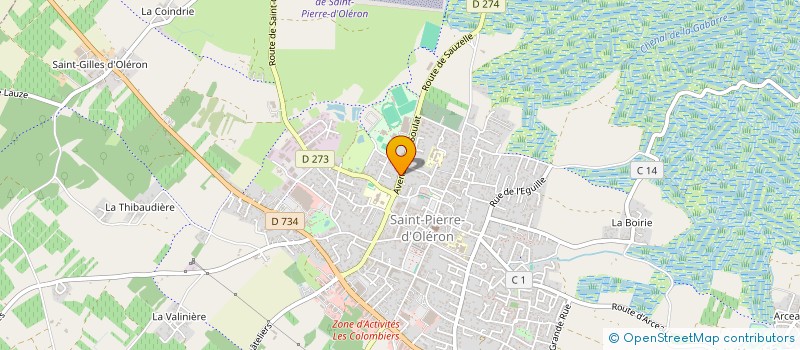 localisation de l'entreprise JOUSSEMET IMMO INVESTISSEMENTS  SAINT-PIERRE-D'OLERON