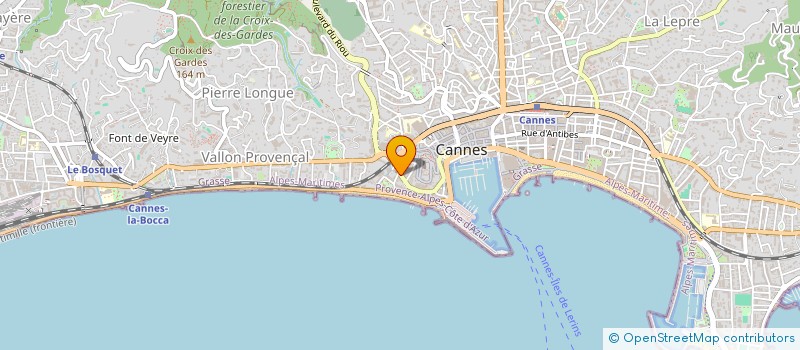 localisation de l'entreprise JOY  CANNES