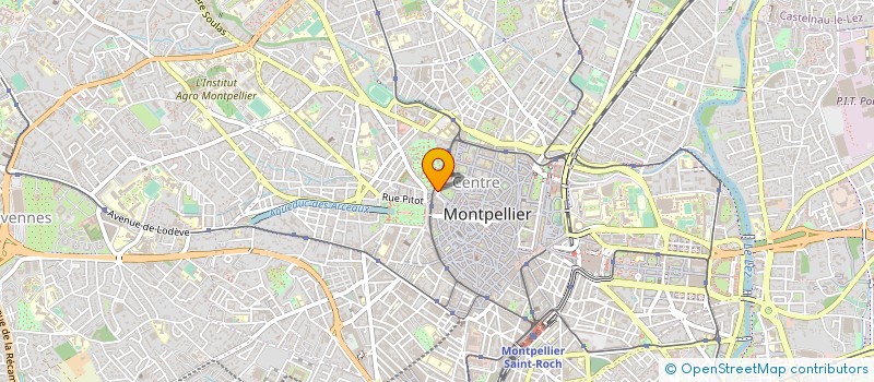 localisation de l'entreprise JOY HEALTHY FOOD ECUSSON à MONTPELLIER