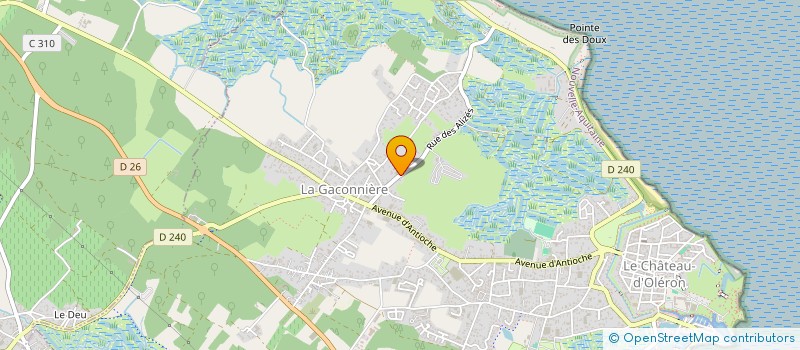 localisation de l'entreprise JOYEAU  LE CHATEAU-D'OLERON