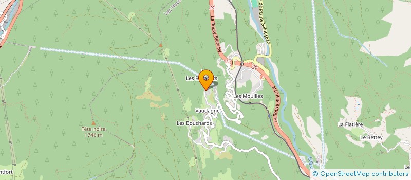 localisation de l'entreprise JOYVE'S DEVILLARD  LES HOUCHES