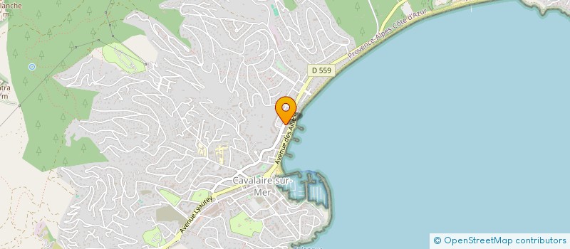 localisation de l'entreprise JS2R à CAVALAIRE-SUR-MER