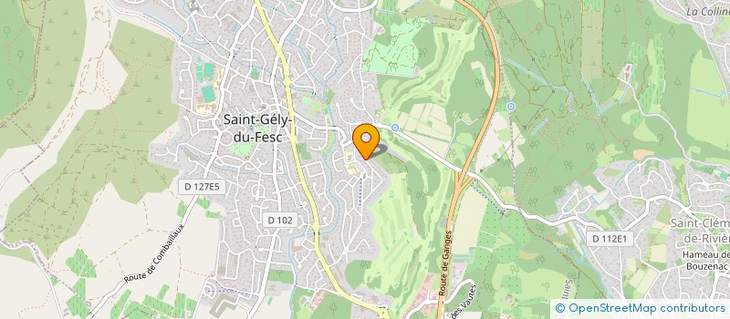 localisation de l'entreprise JSI COORDINATION  SAINT-GELY-DU-FESC