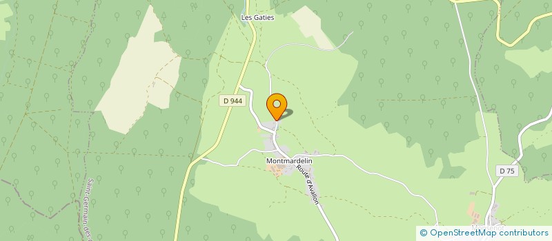 localisation de l'entreprise JSM INVESTMENT  SAINT-GERMAIN-DES-CHAMPS