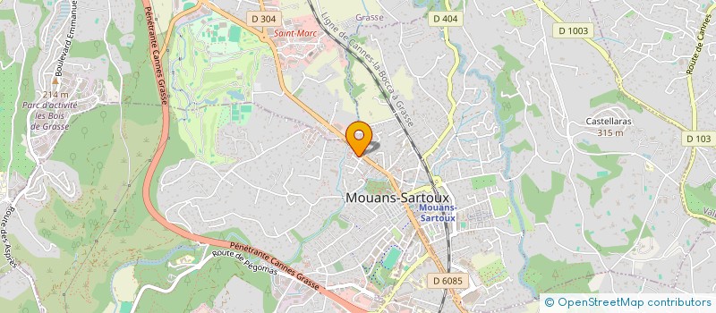 localisation de l'entreprise JT 2 IMMOBILIER  MOUANS-SARTOUX