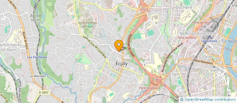 localisation de l'entreprise JTUREAUD-CONSEIL  ECULLY