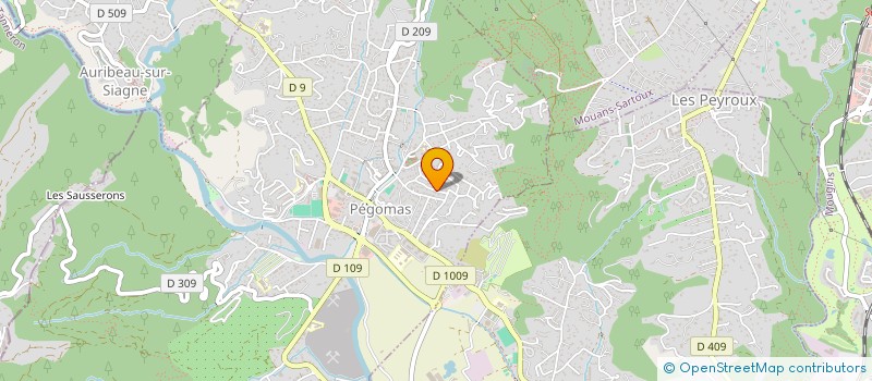 localisation de l'entreprise JU INVEST  PEGOMAS