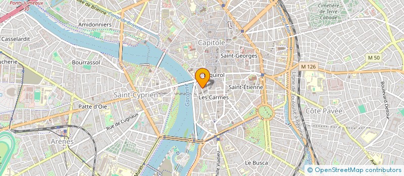 localisation de l'entreprise JUB CARMES LMNP à TOULOUSE
