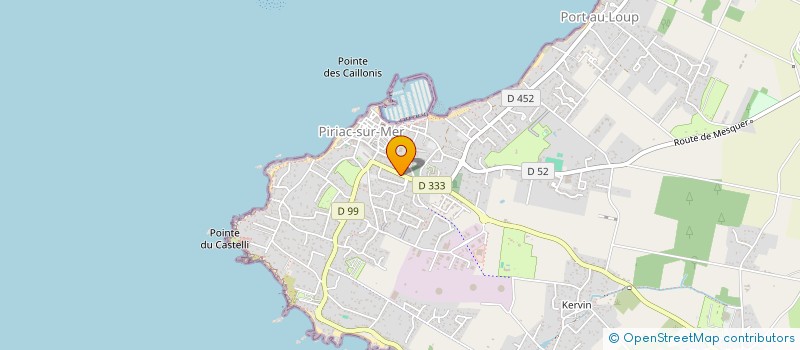 localisation de l'entreprise JUDO CLUB PIRIACAIS  PIRIAC-SUR-MER