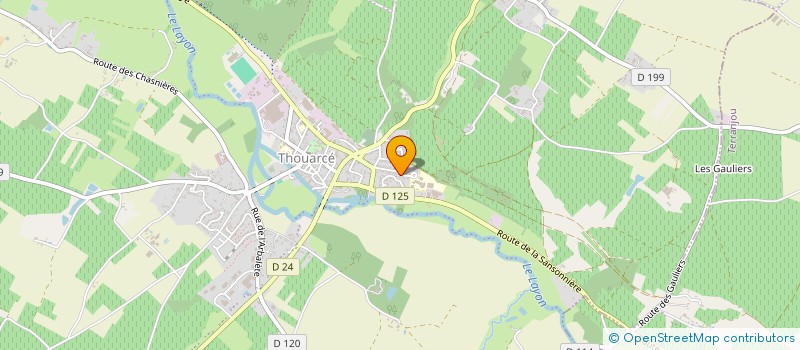 localisation de l'entreprise JUDO CLUB THOUARCE  BELLEVIGNE-EN-LAYON