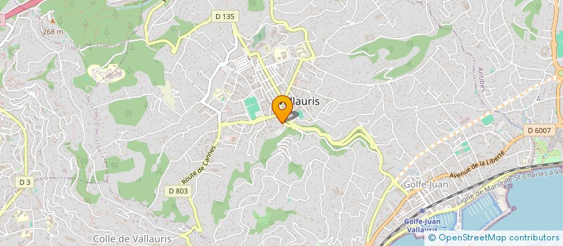 localisation de l'entreprise JULAMATY à VALLAURIS