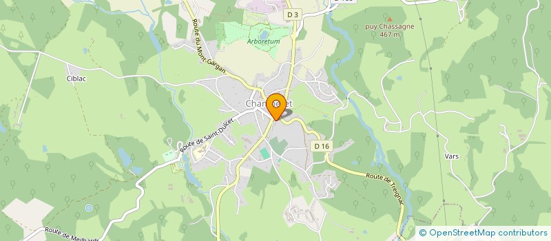 localisation de l'entreprise JUMELAGE CHAMBERET-SCHILLINGSFURST  CHAMBERET