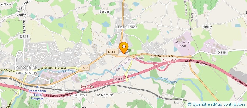 localisation de l'entreprise JUNET PAYSAGE SERVICES  VINDRY-SUR-TURDINE