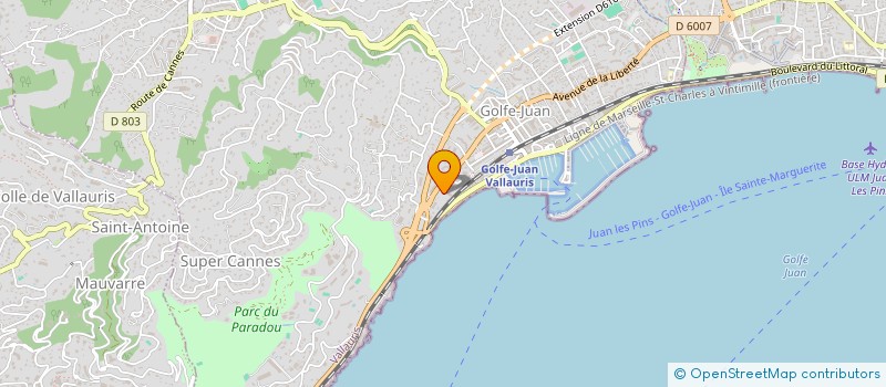 localisation de l'entreprise JUPITER  VALLAURIS
