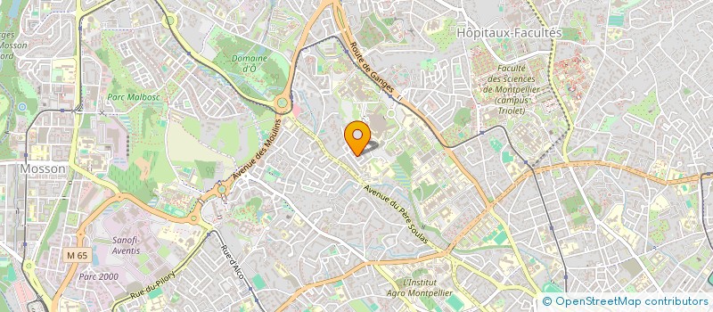 localisation de l'entreprise JUYAPE à MONTPELLIER