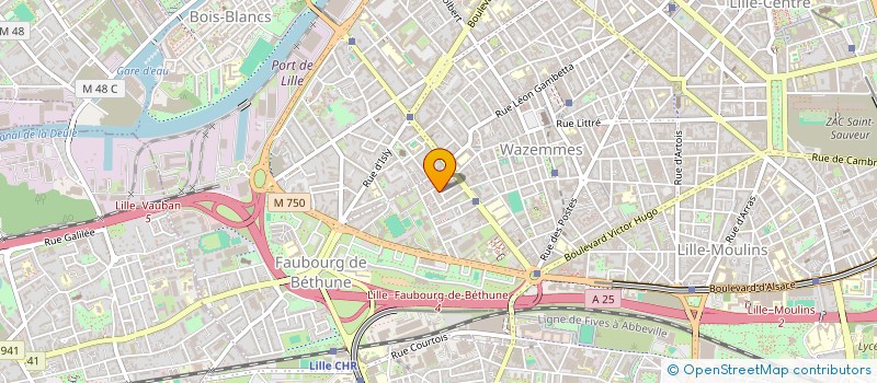 localisation de l'entreprise KALYANI à LILLE