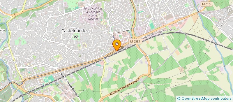localisation de l'entreprise KELI SERVICES  CASTELNAU-LE-LEZ
